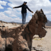 bosque de piedras