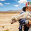 niño con vicuña