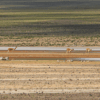 vicuñas en laguna de salina