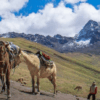 montana-de-7-colores-vinicunca-cusco