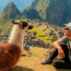 turista-observando-llama-ciudadela-machu-picchu