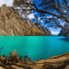 laguna-chinancocha-arboles-de-queñua-llanganuco