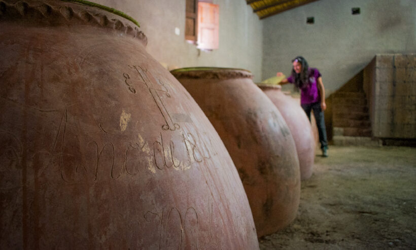 RUTA DEL PISCO TOUR PRIVADO AREQUIPA(1)