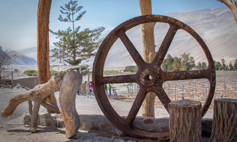 RUTA DEL PISCO TOUR PRIVADO AREQUIPA_ (4)