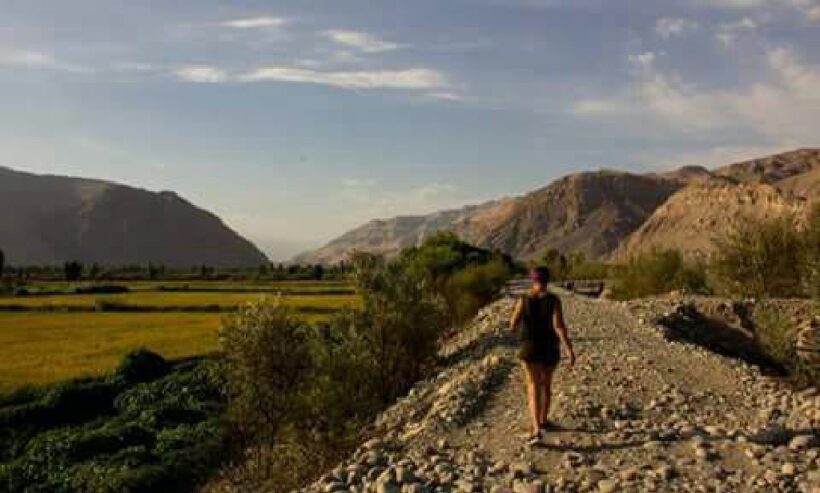 RUTA DEL PISCO TOUR PRIVADO AREQUIPA_ (6)