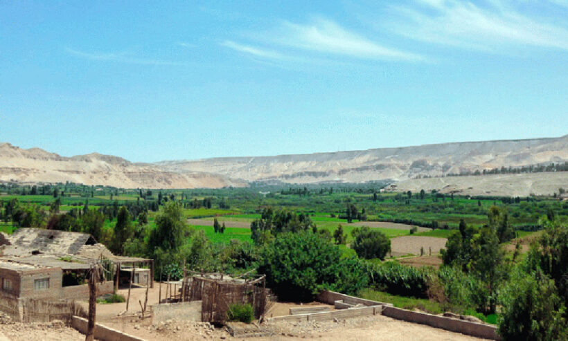 RUTA DEL PISCO TOUR PRIVADO AREQUIPA_ (7)