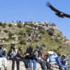 condor volando encima de viajeros