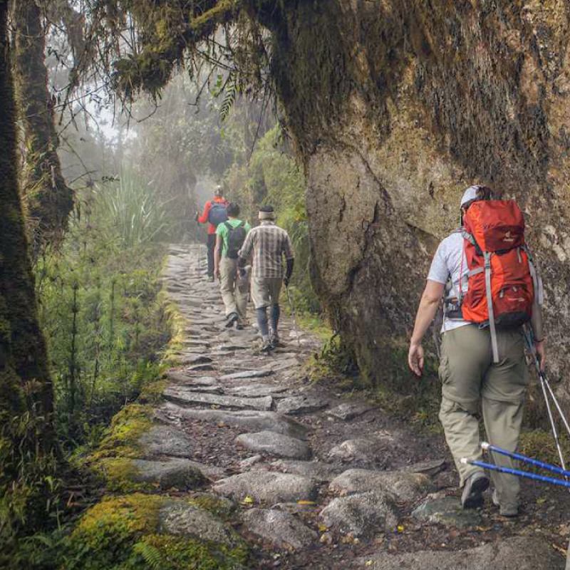 trekking, machupicchu, cusco, perú, caminos del inca