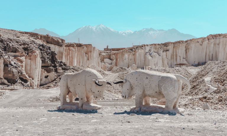 Toros en Ruta del Sillar