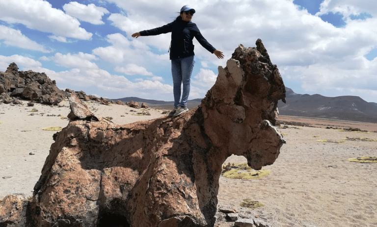 bosque de piedras