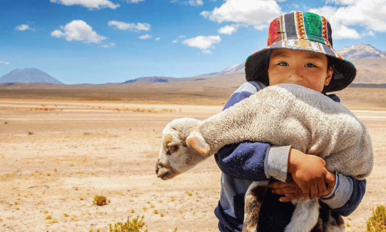 niño con vicuña