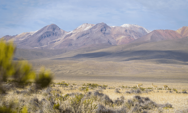 paisaje en pillones